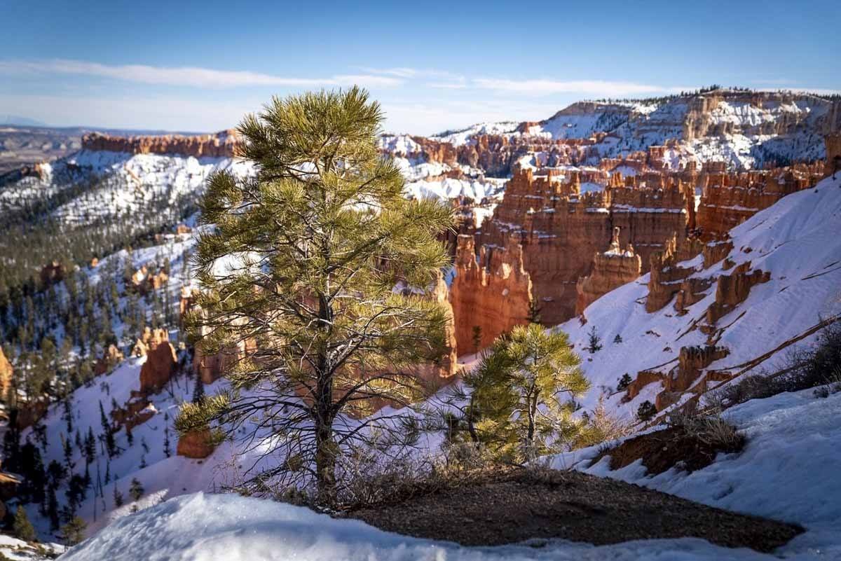 Bryce canyon hikes winter