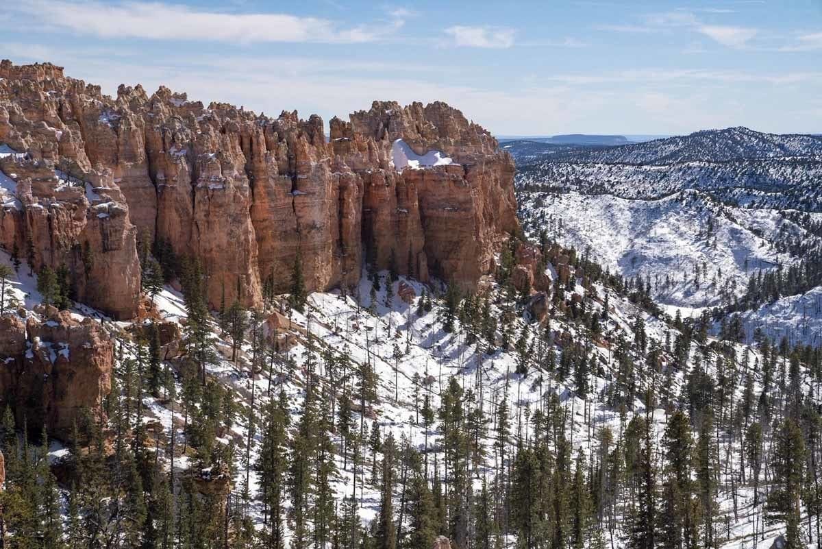 bryce canyon winter trees