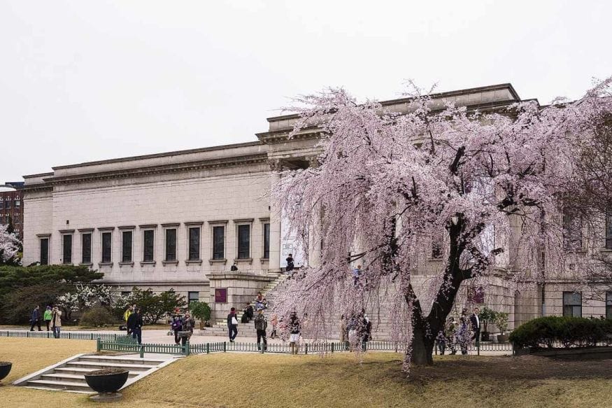 virtual tour-national-museum-seoul