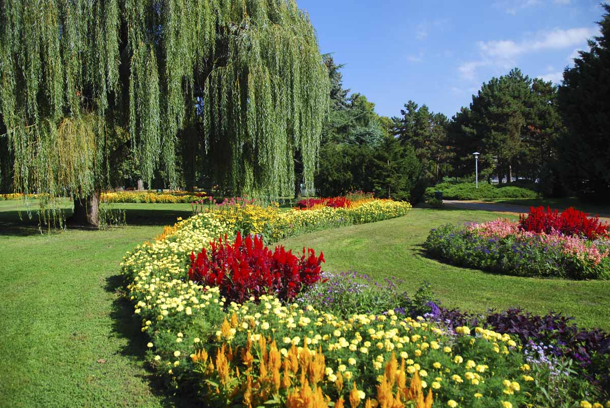 Flower display on Margaret Island, Budapest