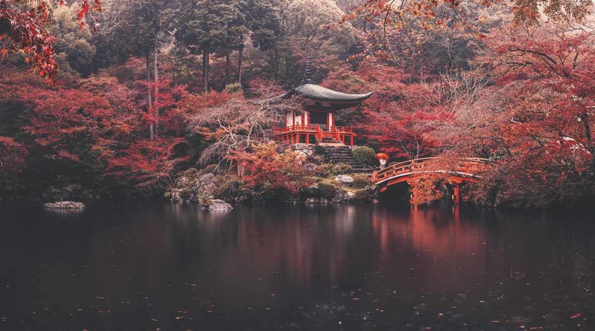 Panorama of Daigo ji temple with asian traveler woman and umbrella against colorful red maple tree in autumn season, Kyoto, Japan