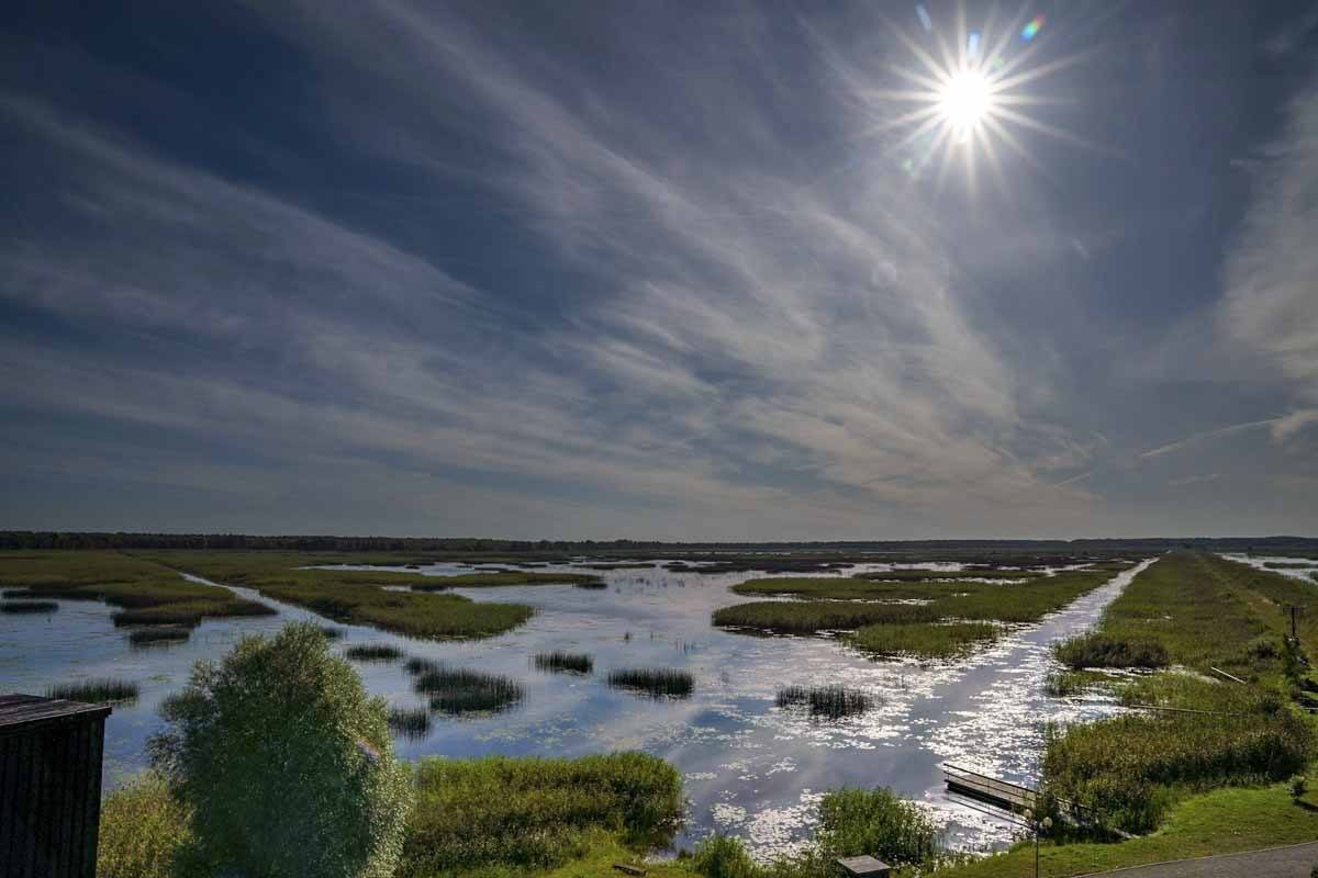 birdwatching lake lubans latvia