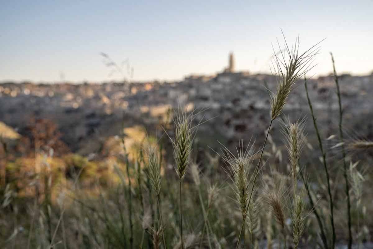 matera belvedere murgia