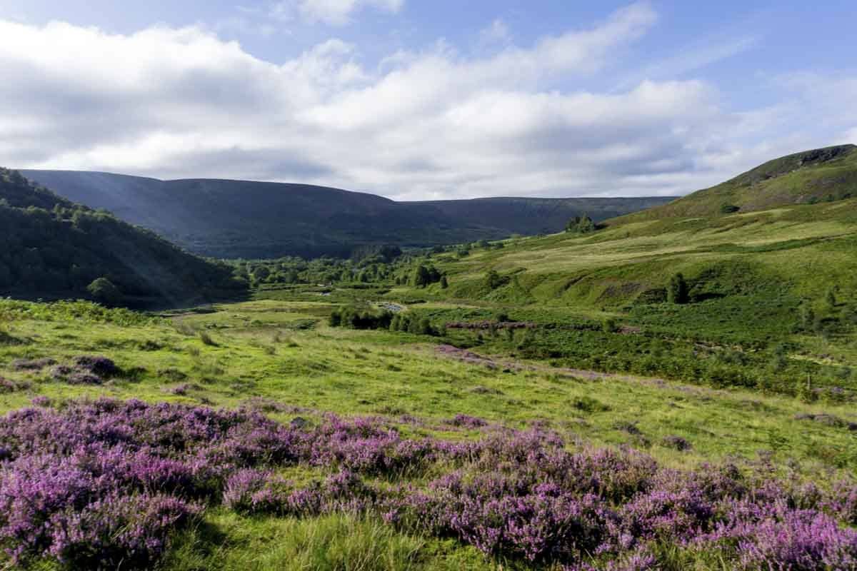 crowden srping