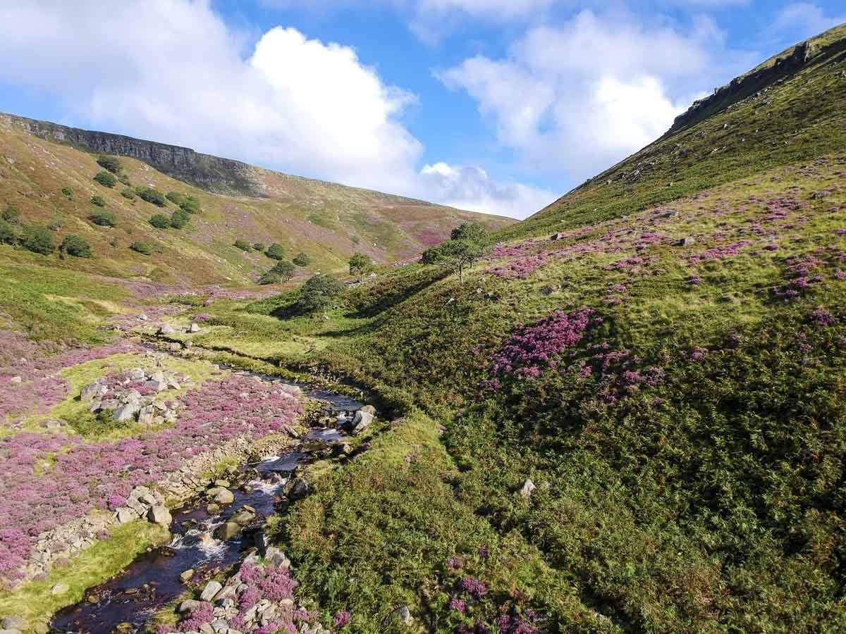 crowden-summer