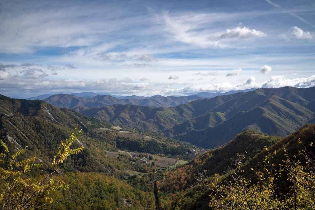 foreste casentinesi autumn