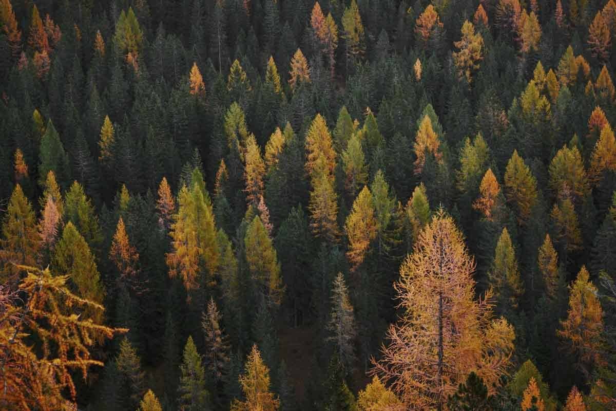 november in italy colours