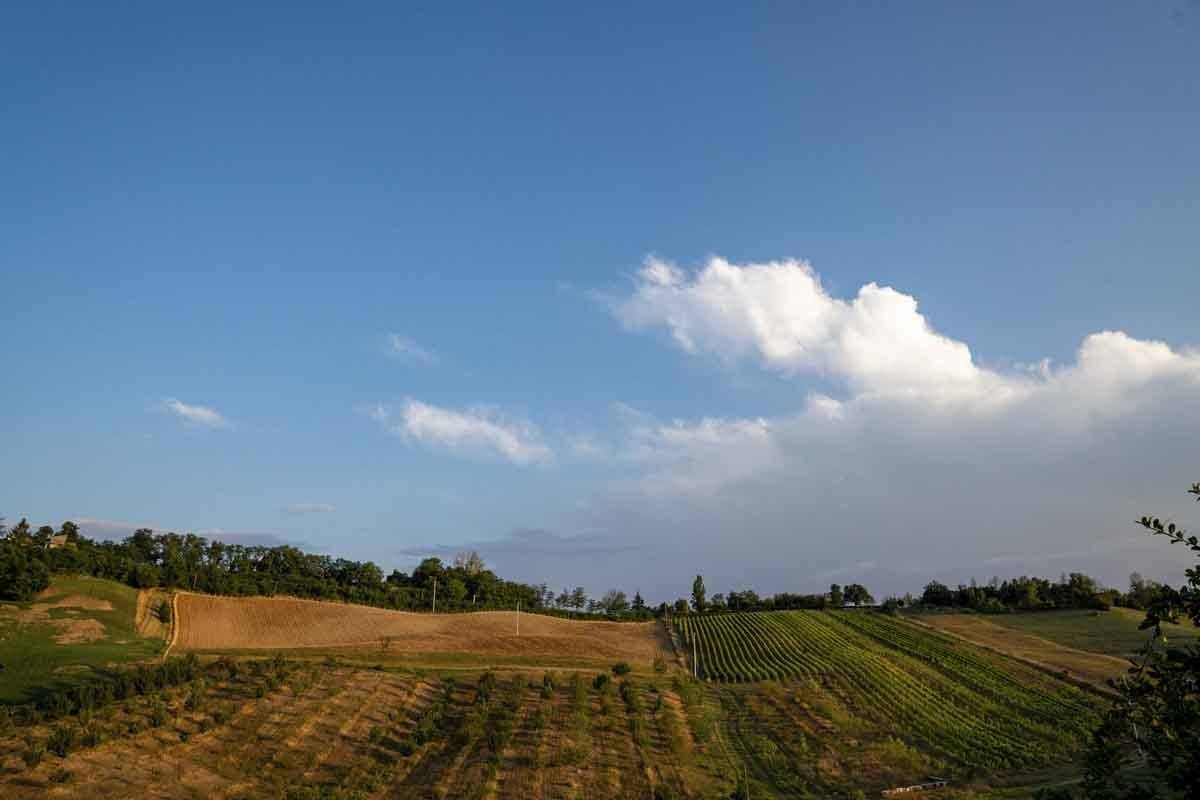 things to do in Fidenza