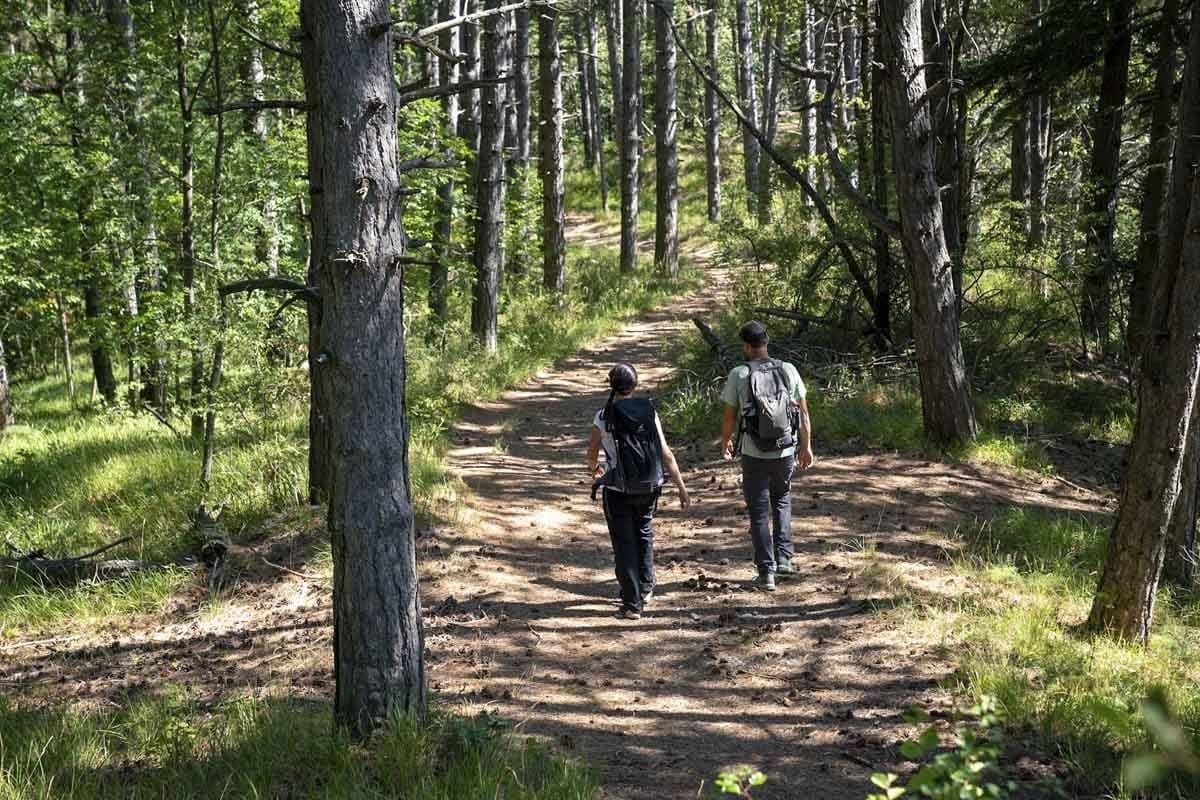 via francigena forest hike