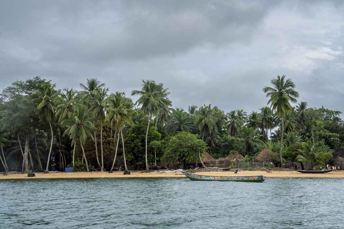 sierra leone beach turtle island