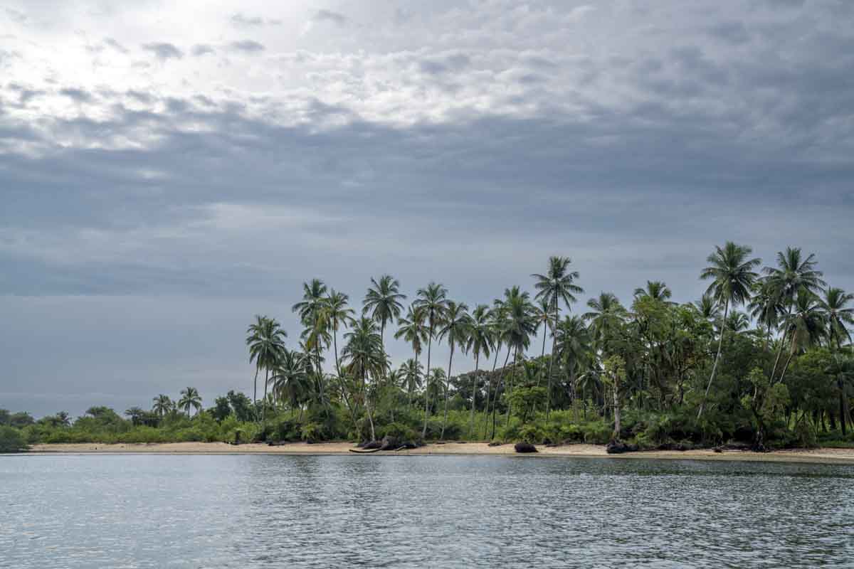 turtle islands sierra leone