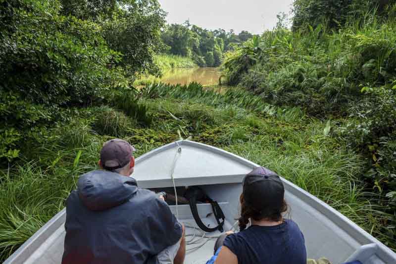 Kinabatangan_river