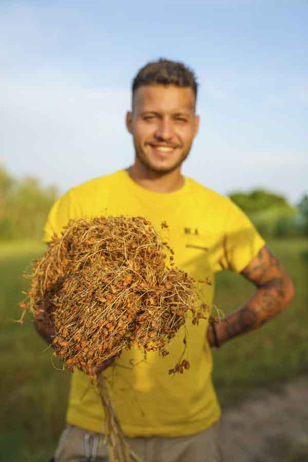 ventotene lentil farmer