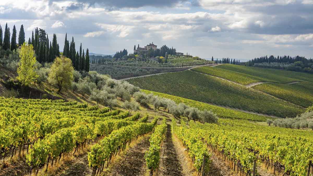 chianti day trips from florence
