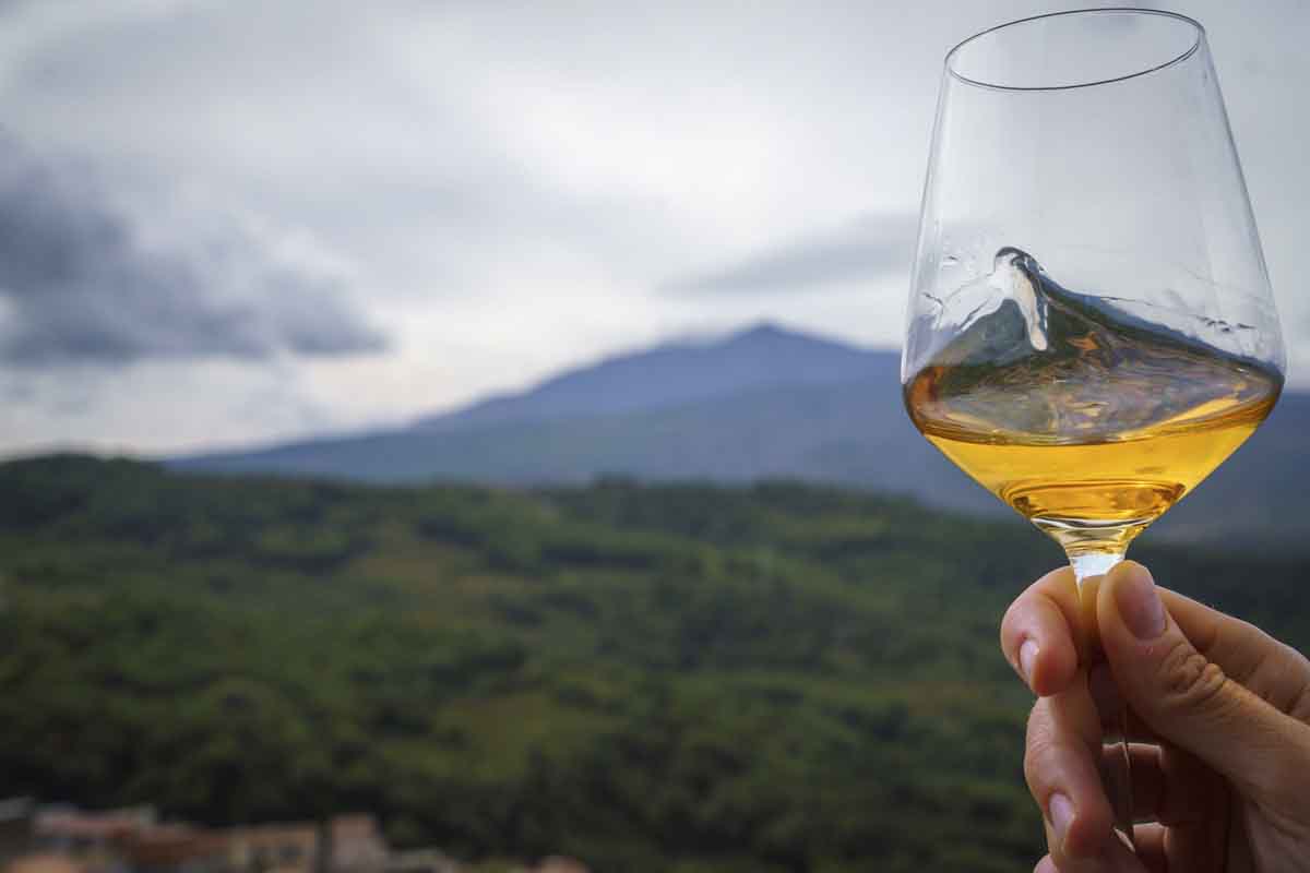 castiglione di sicilia etna wine