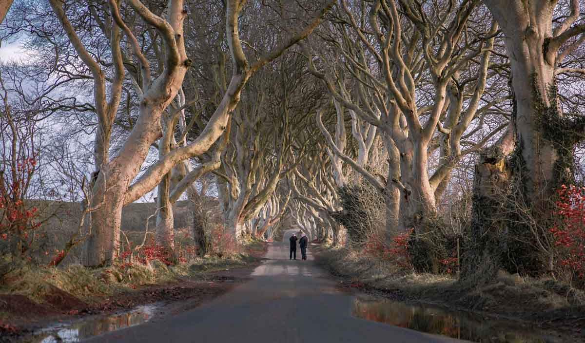 dark hedges belfast