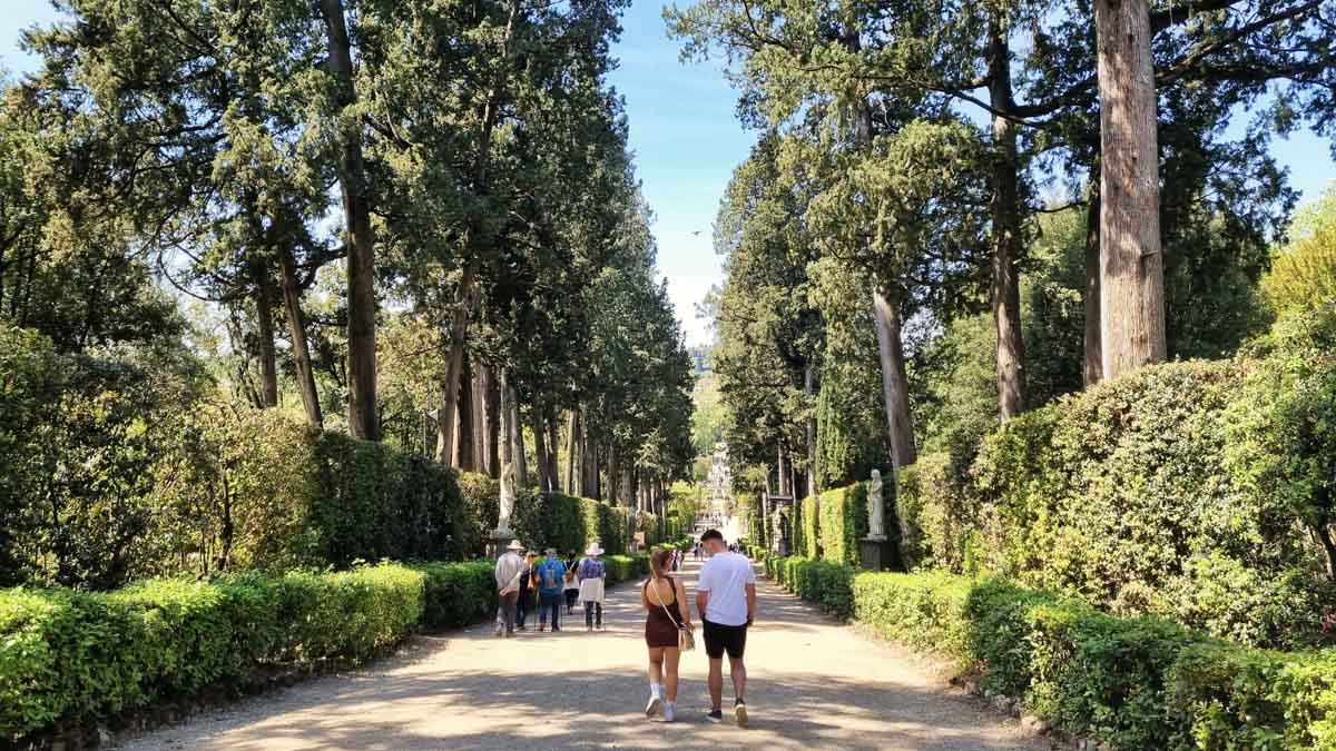 boboli gardens avenue trees