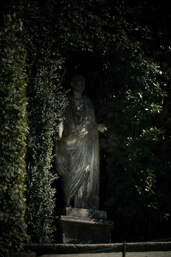 boboli gardens dark trees