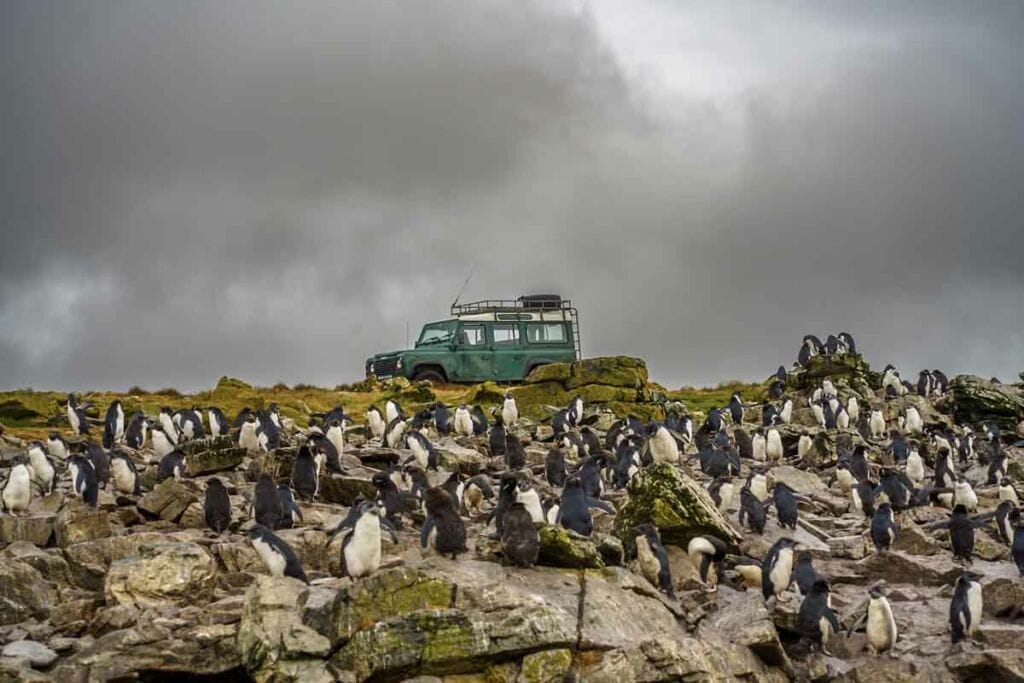 murrell rockhoppers land rover