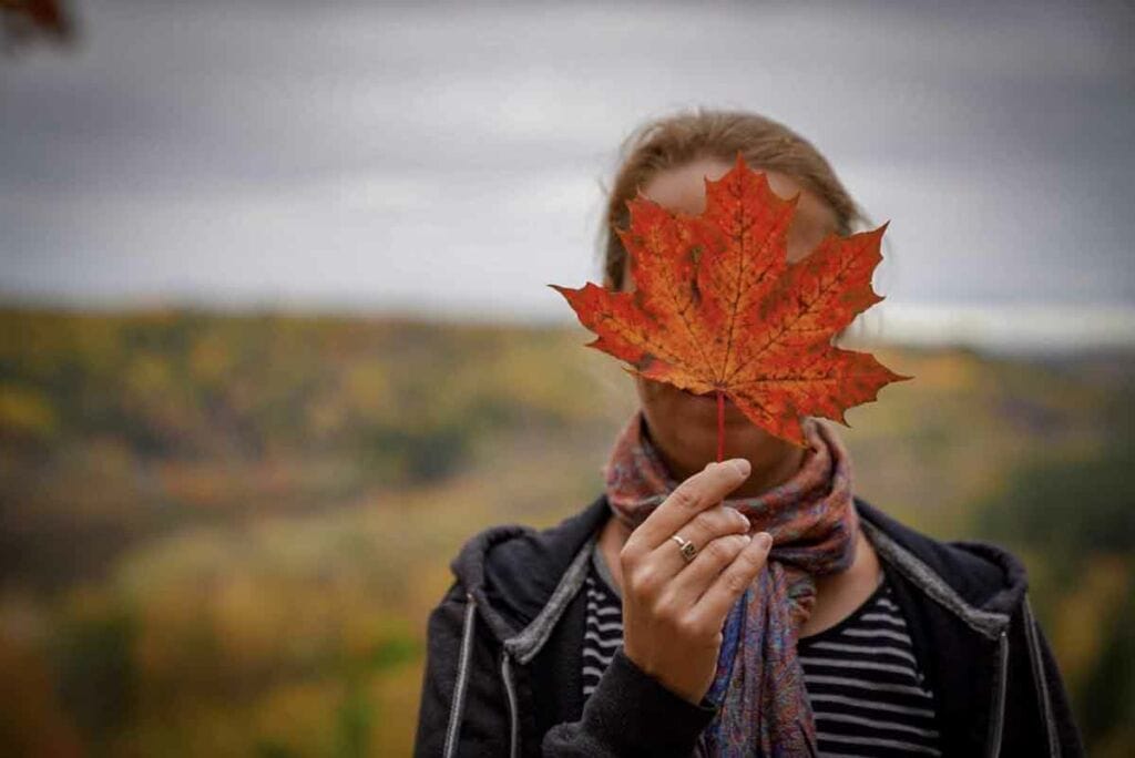
Lake-como-in-autumn-view